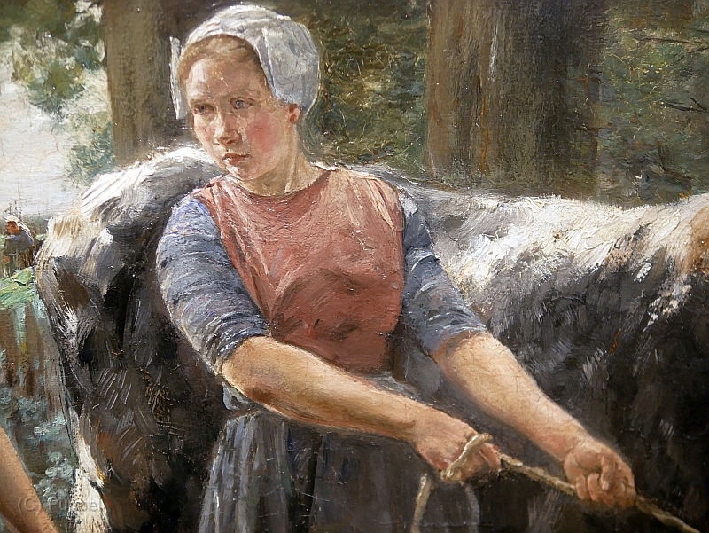S P1540682.JPG
